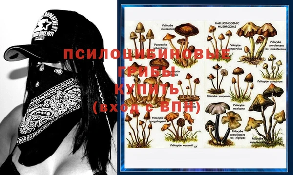 MESCALINE Алзамай