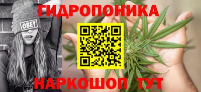 а пвп мука Кингисепп