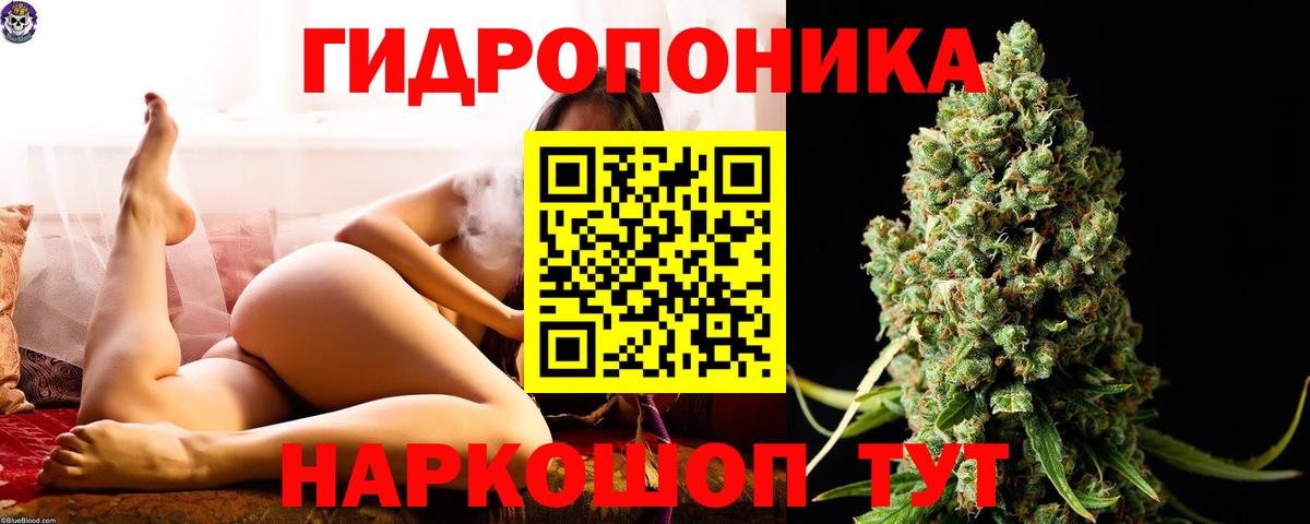 Шишки марихуана OG Kush  Канабис VHQ  Канабис MAZAR  Клин  Вход с VPN  Канабис ГИДРОПОН 